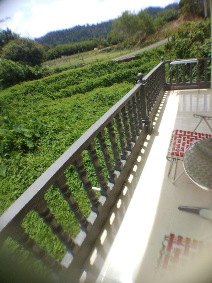 Hana Guesthouse Kuala Tahan Ngoại thất bức ảnh